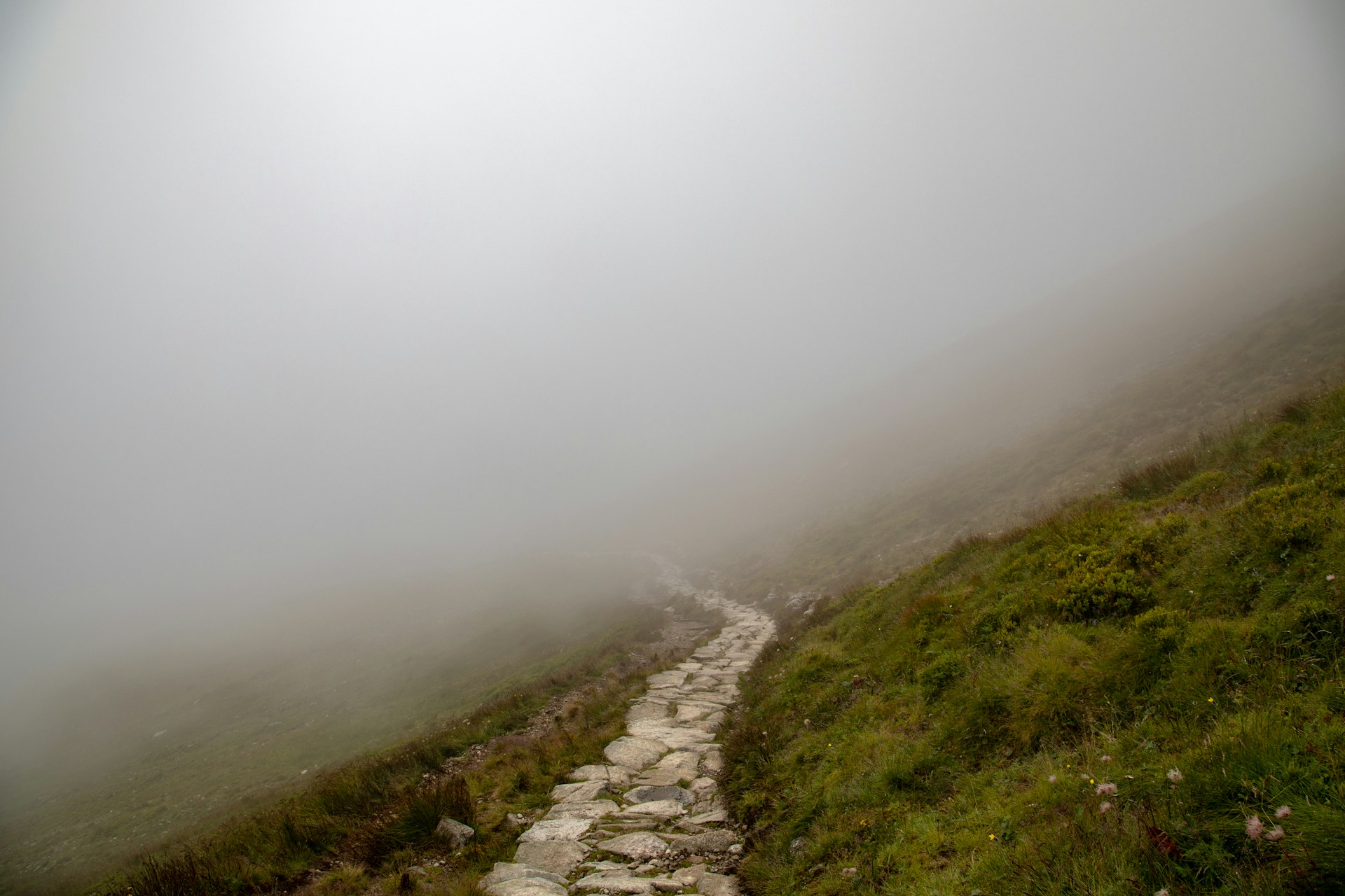 It’s Perfectly Normal to Doubt Your Path - The Philosophy of the ...